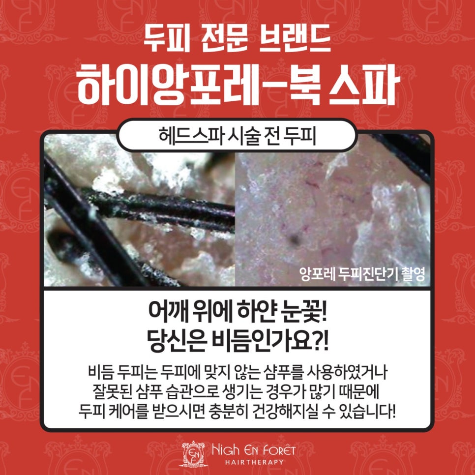 디오헤어# 이미지