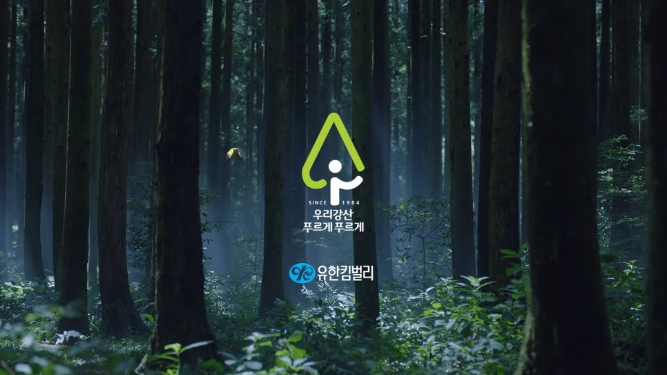 강산환경 이미지
