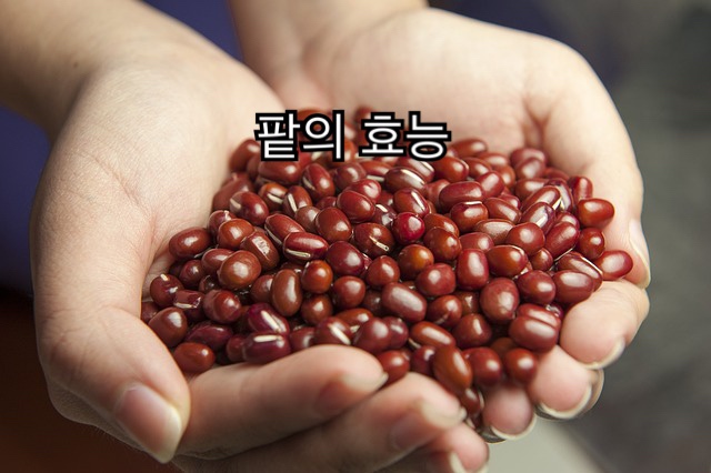 원짐 이미지