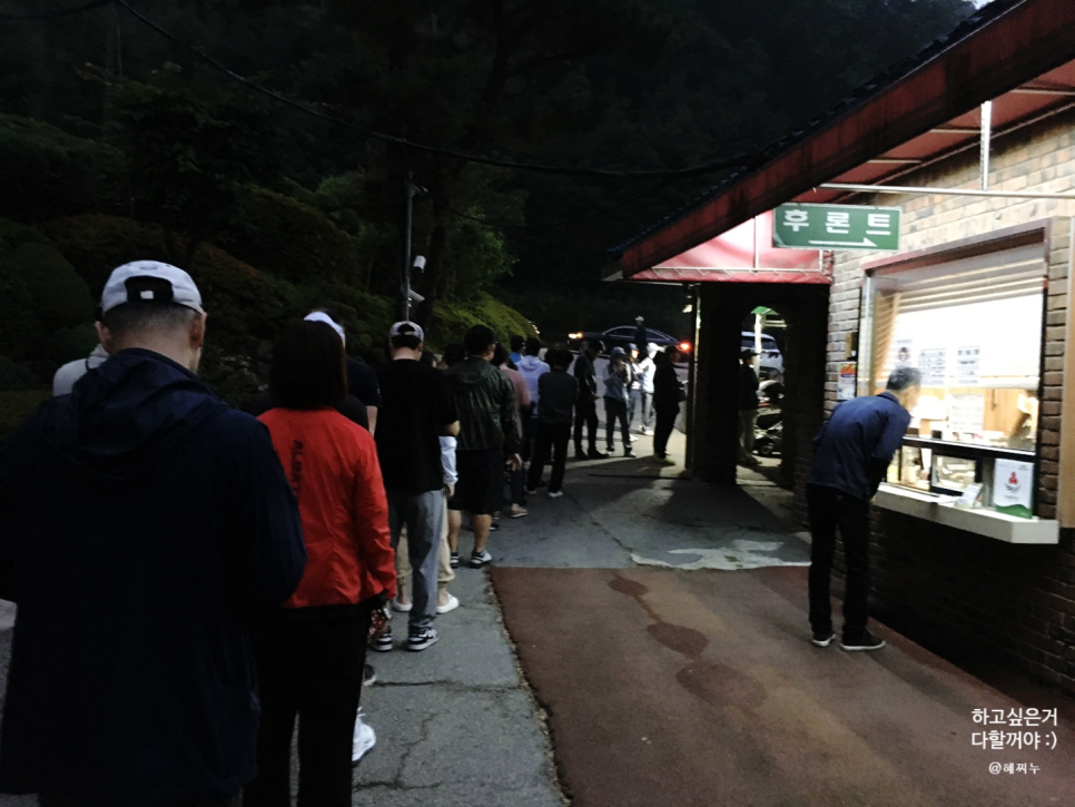 파리게이츠고양 이미지