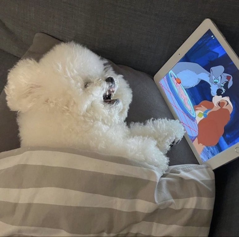 네모구이 이미지