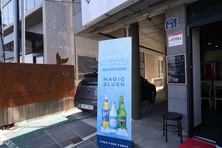 제주꼬끼오 이미지