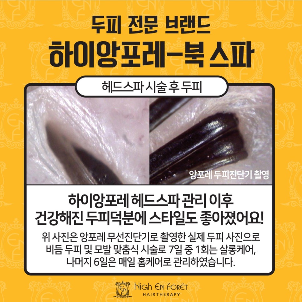 디오헤어# 이미지