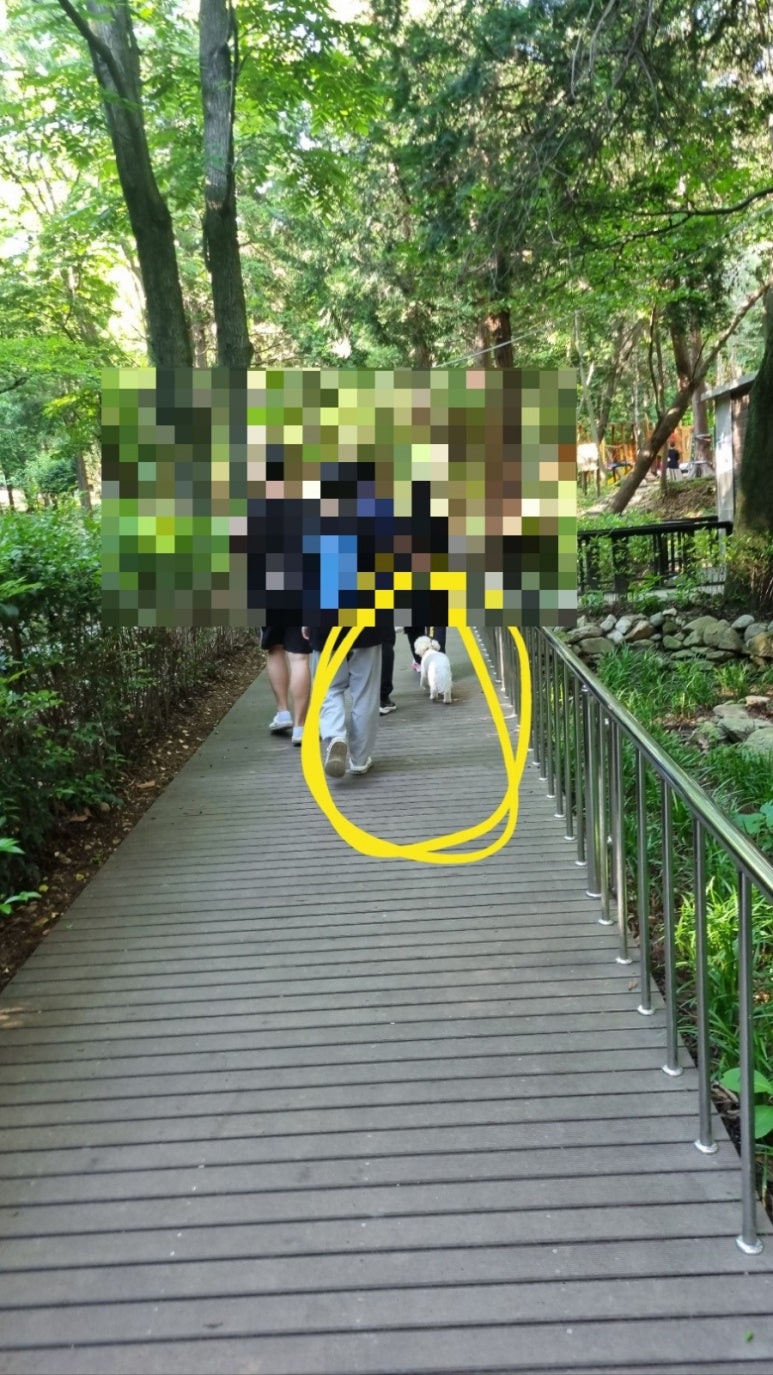 여수미평산림욕장 유아숲체험원 이미지