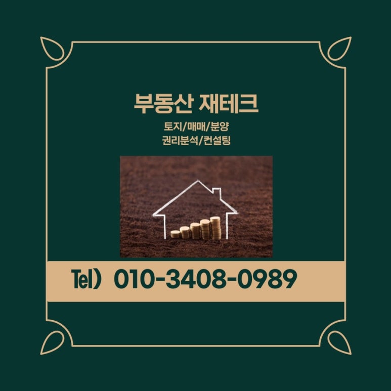 도니머니 이미지