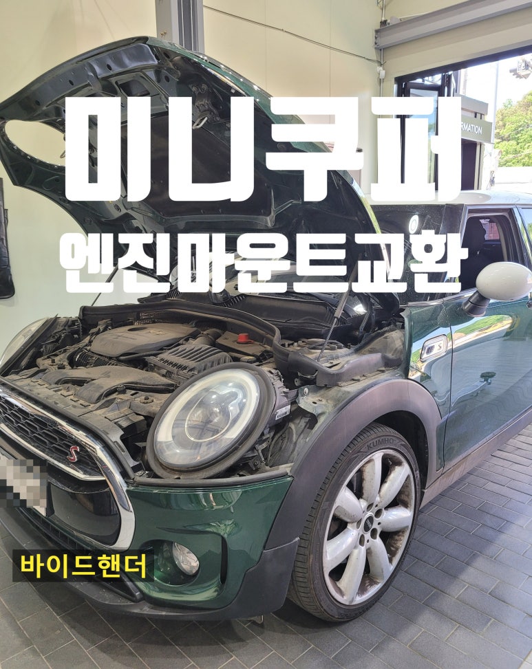 바이드핸더 이미지