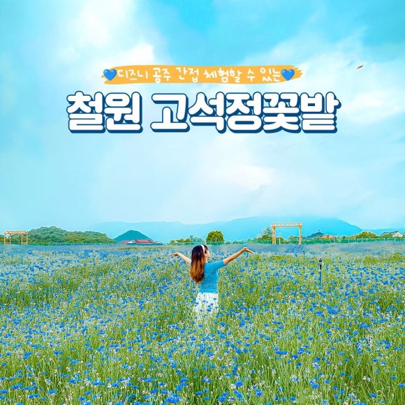 고석정꽃밭카페 이미지