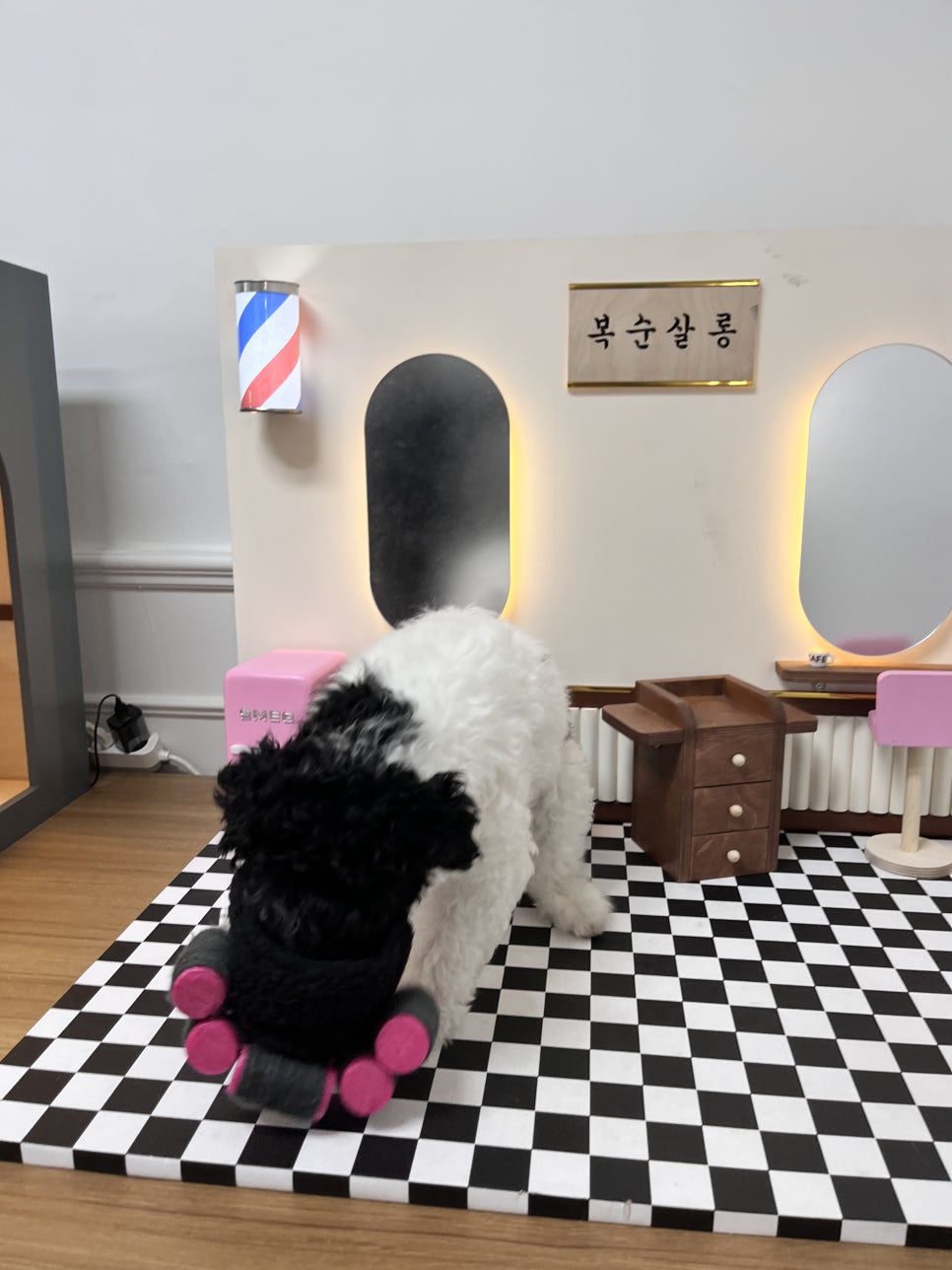 복순살롱 이미지