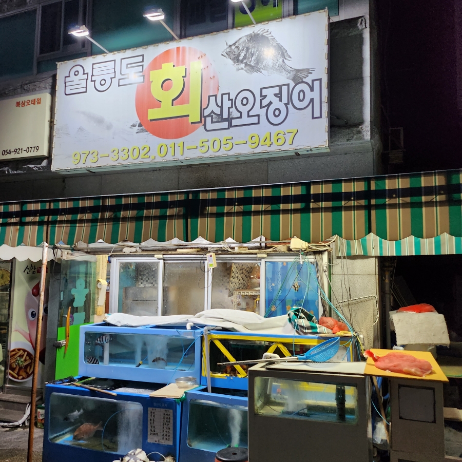 울릉도회산오징어 이미지