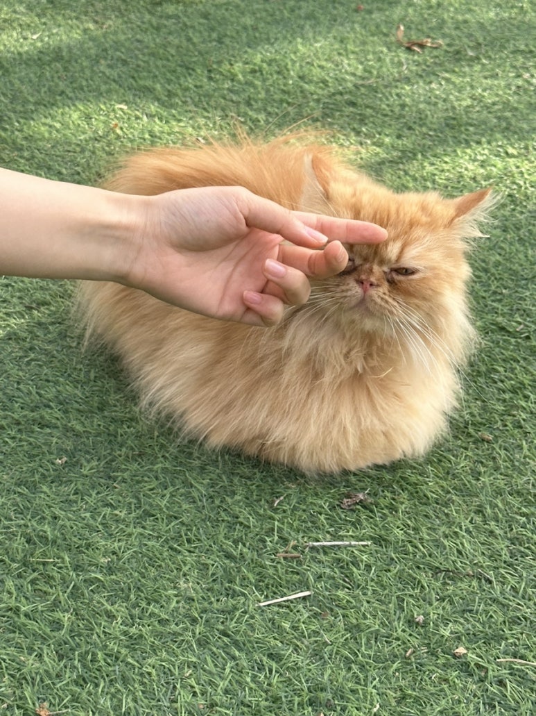대부도식당 이미지