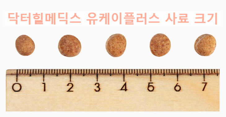 유케이시스템 이미지