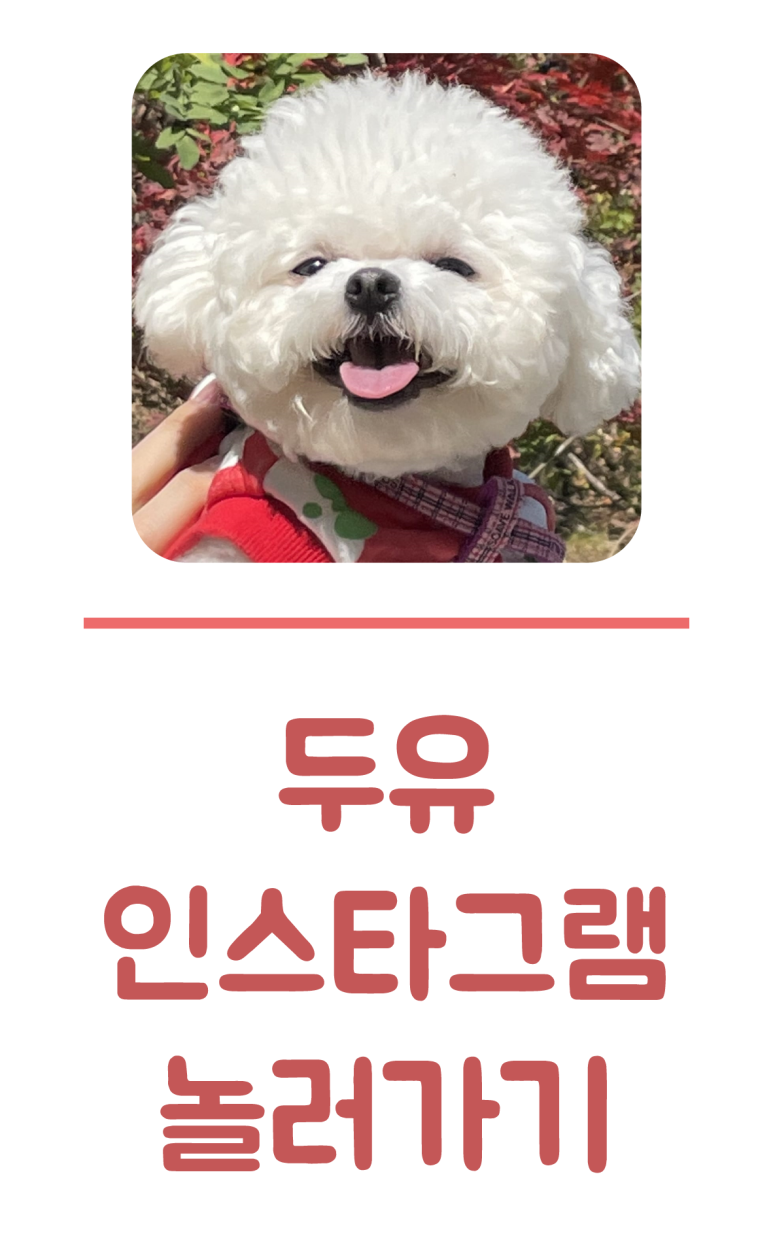 엔케이플러스 이미지