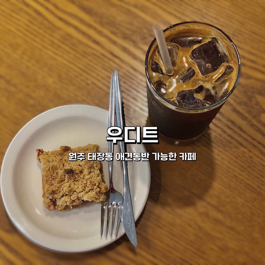 우디트 이미지