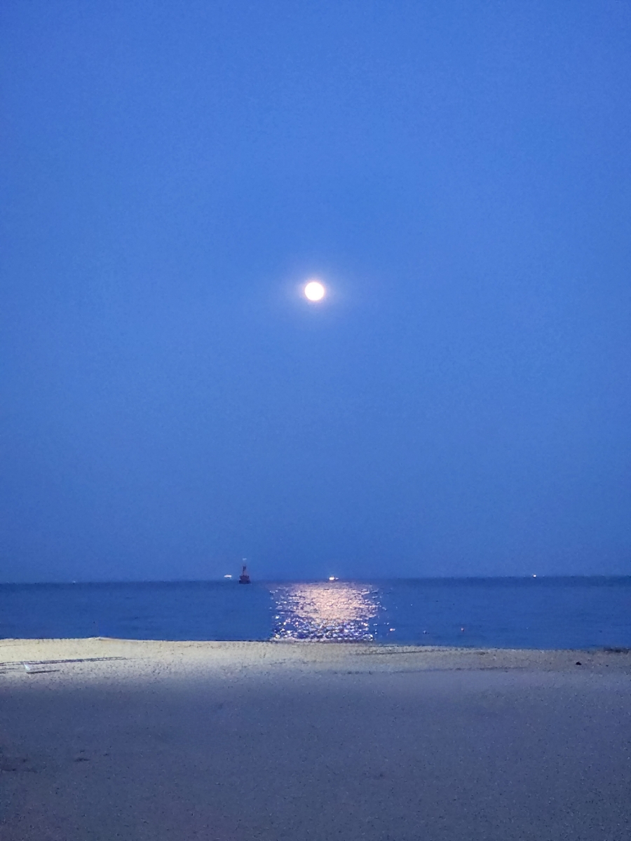 달빛바다 이미지