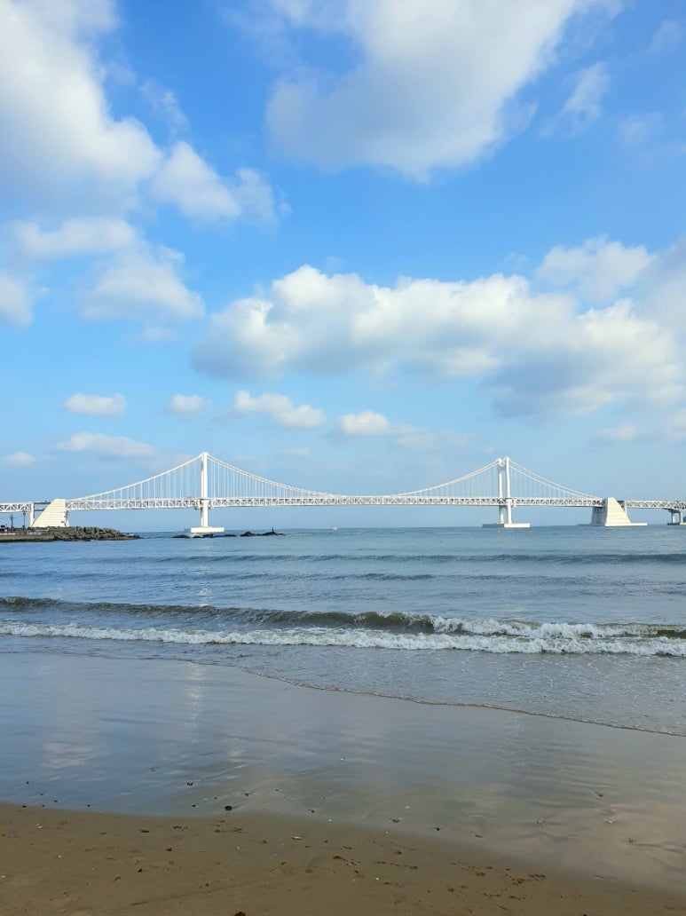 하늘바다상회 이미지