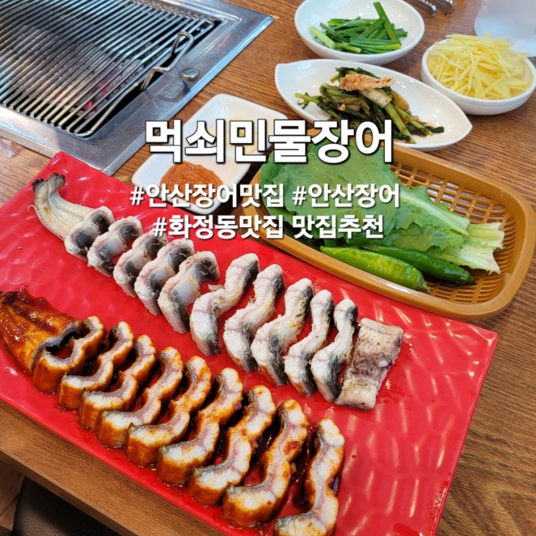 먹쇠민물장어 이미지