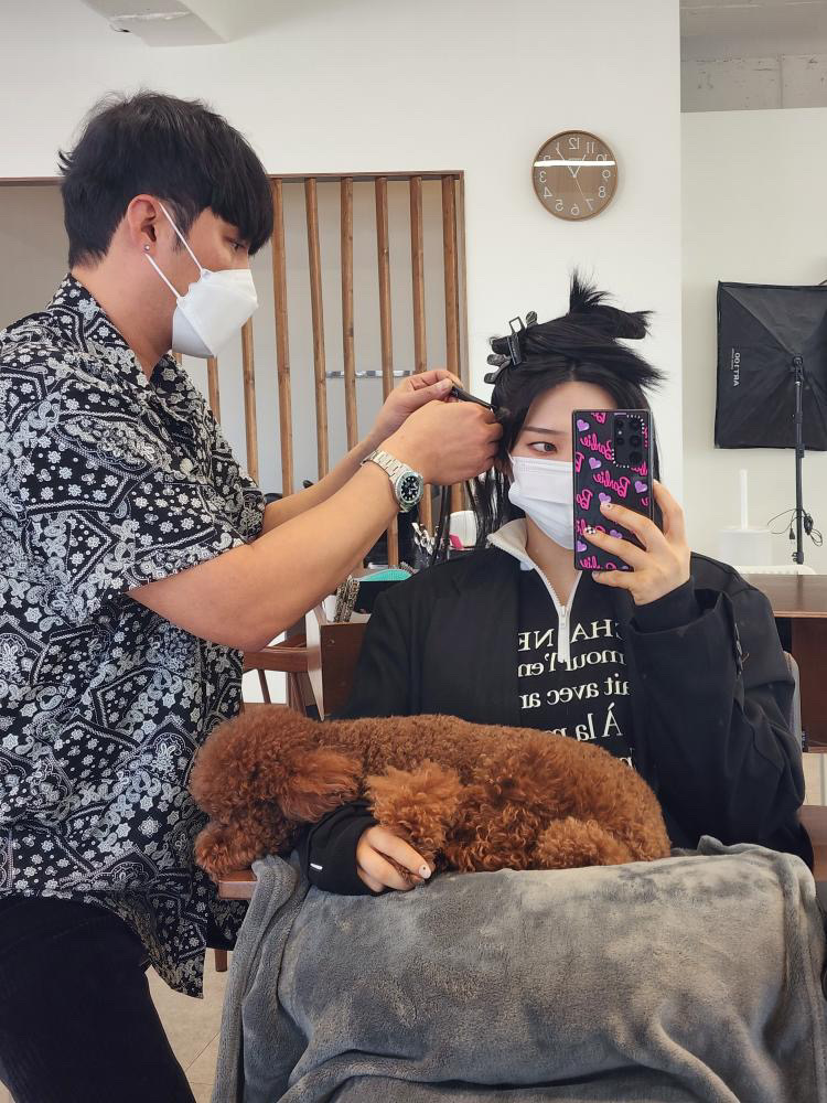 모모브릿지 이미지