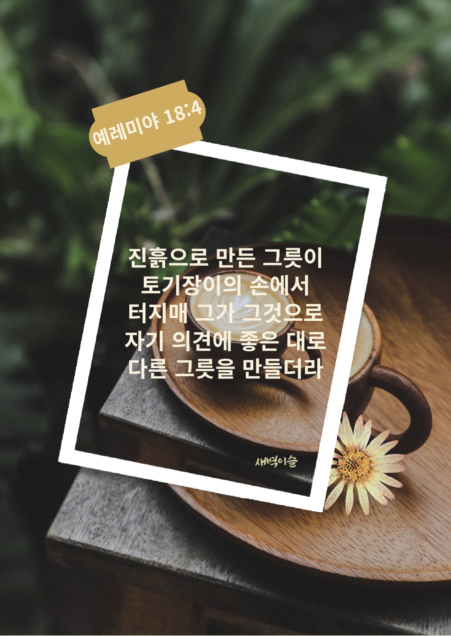 오늘의그릇 이미지