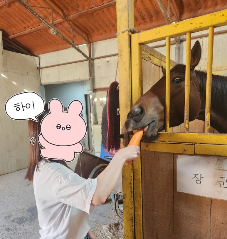 통도승마랜드 이미지