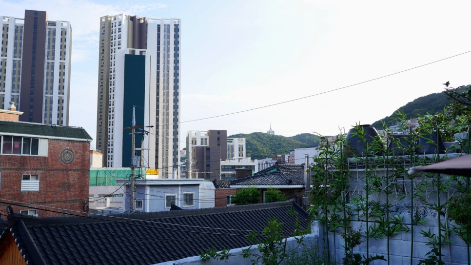동백국수집 이미지