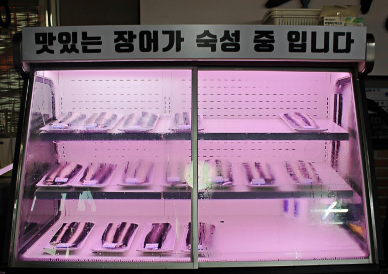 풍경꼼이랑장어랑 이미지