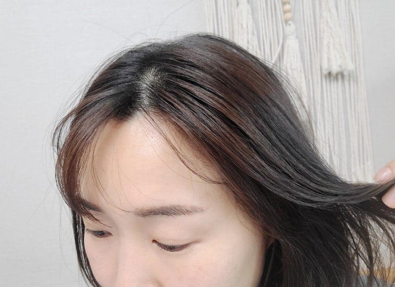 돌콩헤어 이미지