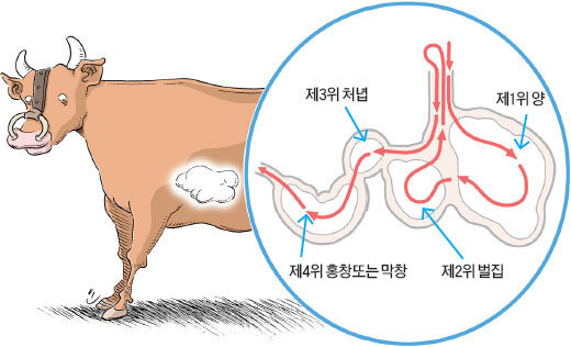 성대곱창 이미지