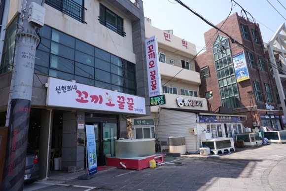 제주꼬끼오 이미지