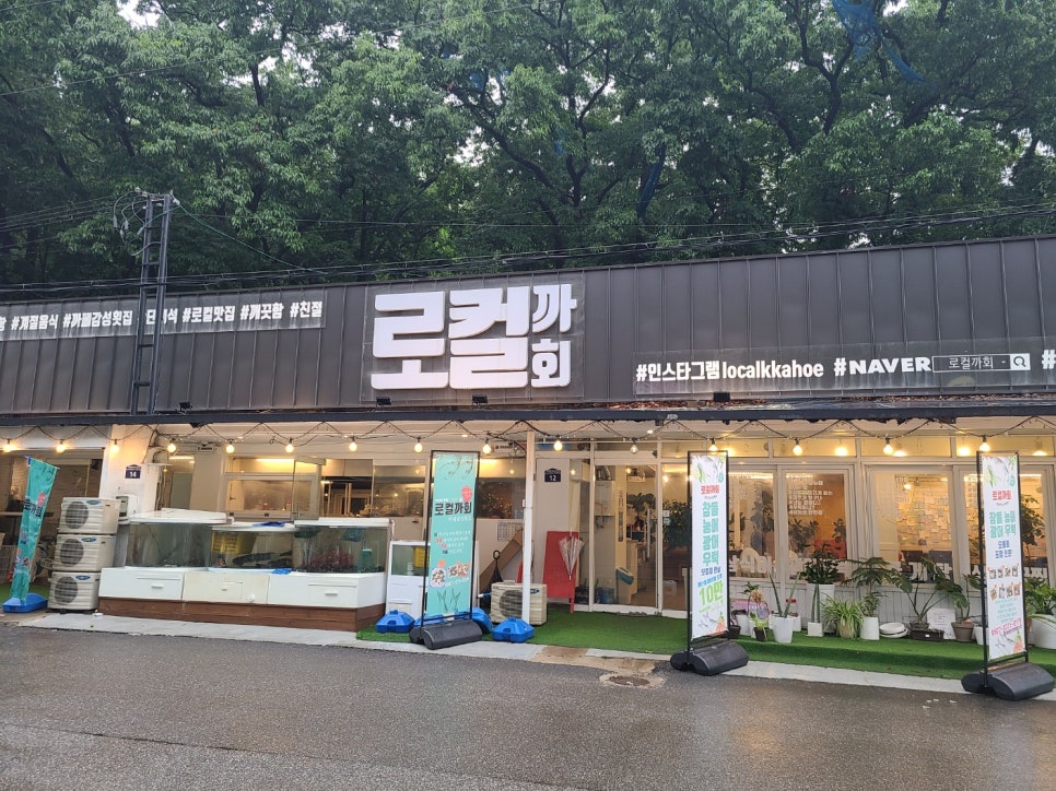 로컬까회 이미지