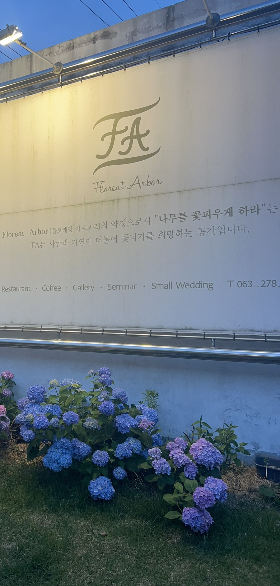 파(FA) 이미지