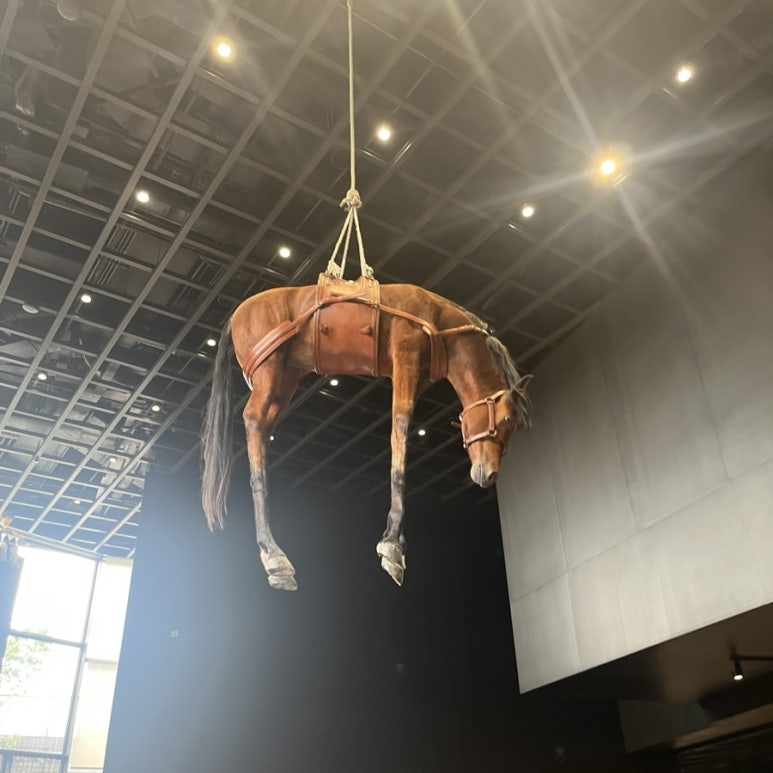 전진문화사 이미지