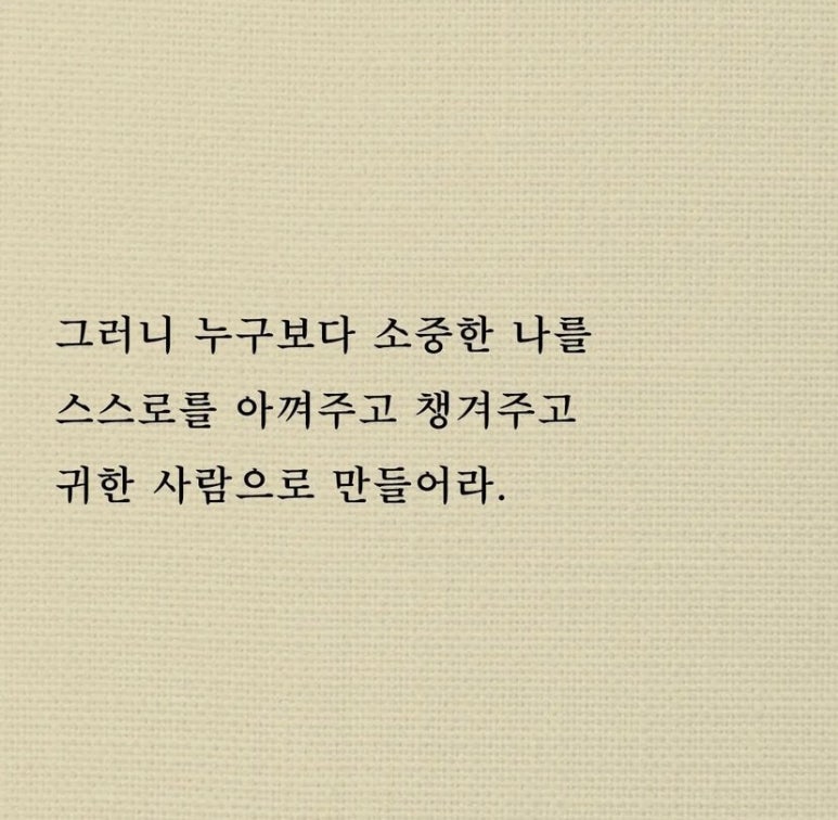 대전실사 이미지