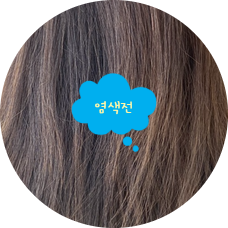 살롱 소유 이미지