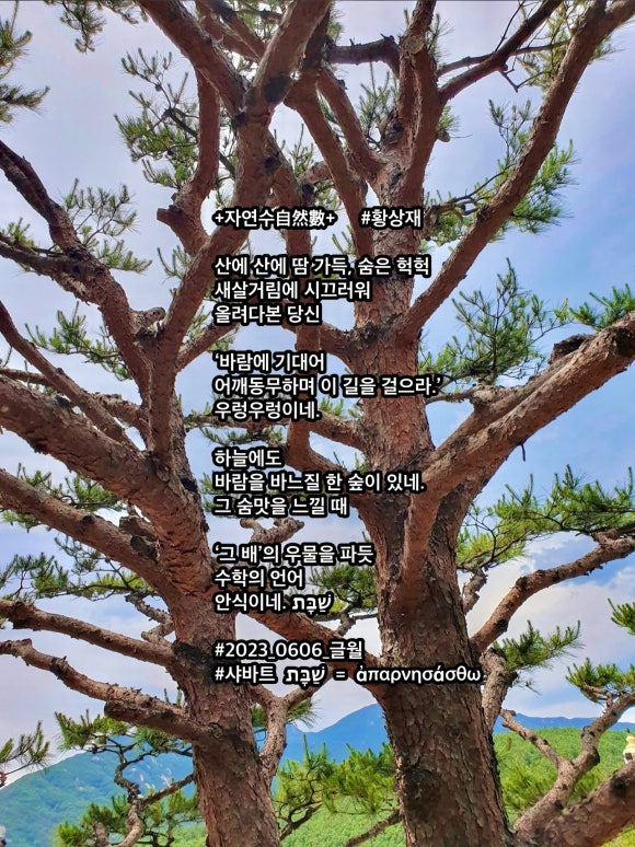 자연수 이미지