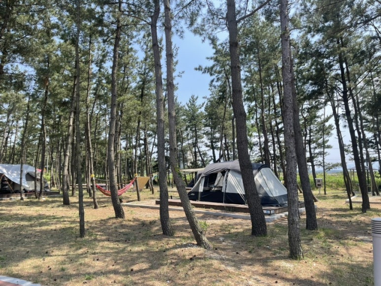 자작도캠핑장 이미지