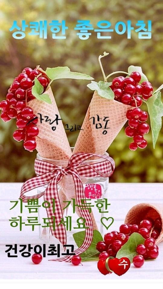 맨날맨날 이미지