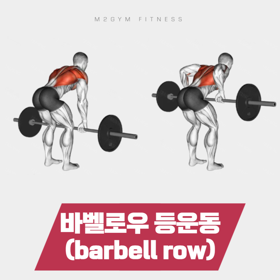 엠투짐 이미지
