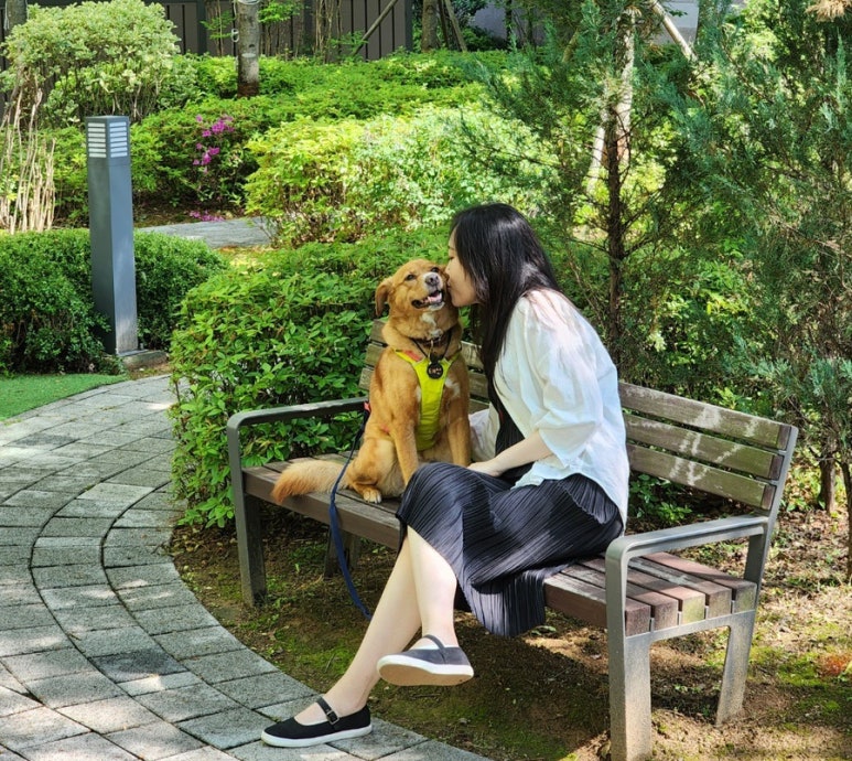 아내뜨 이미지