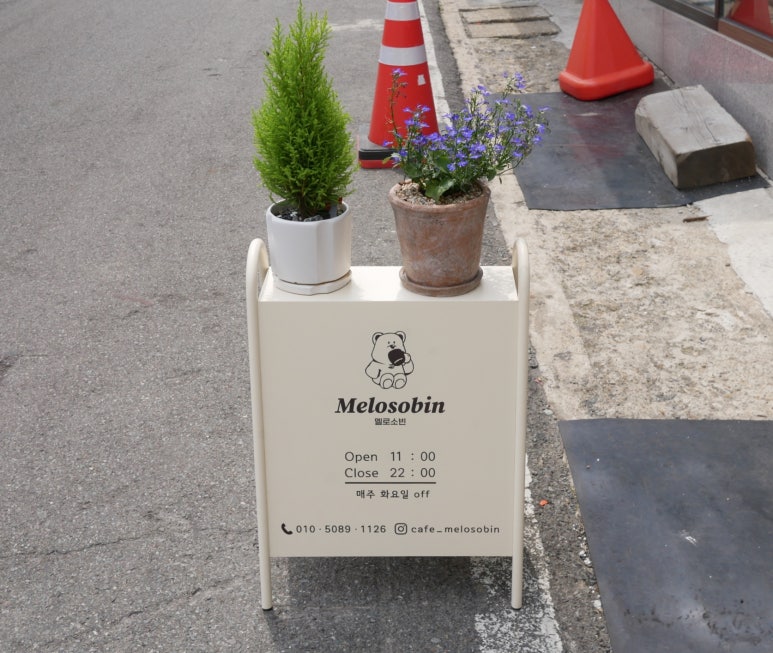 멜로소빈 이미지