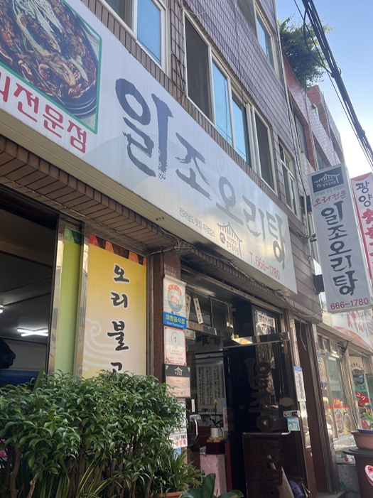 일조오리탕 이미지