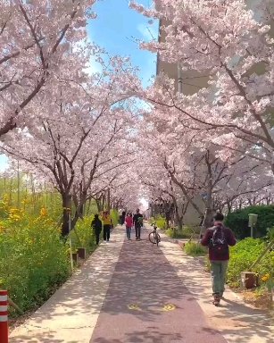 향기로운치과의원 이미지