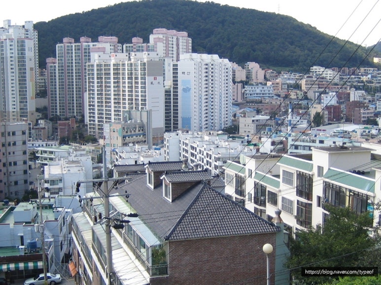 성동수산주 이미지