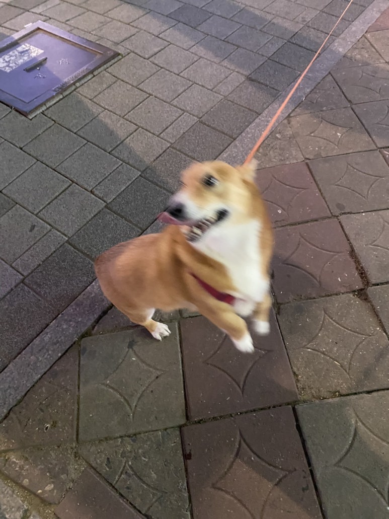 유림문화사 이미지
