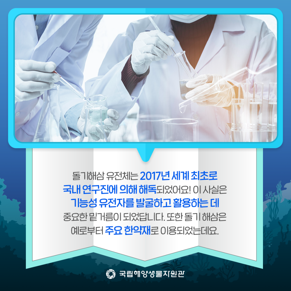 해양슈퍼 이미지