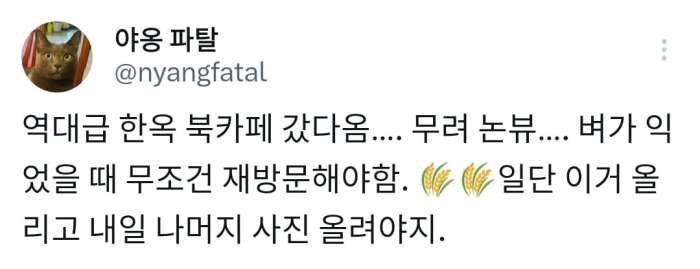 한옥북카페 이미지