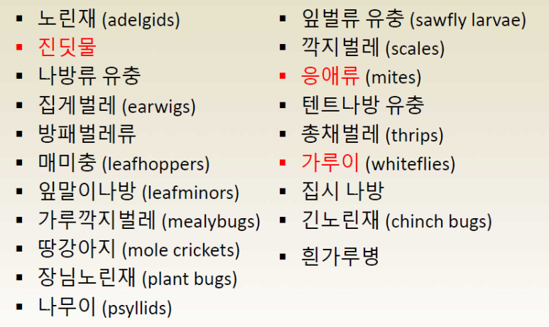 엠피드 이미지