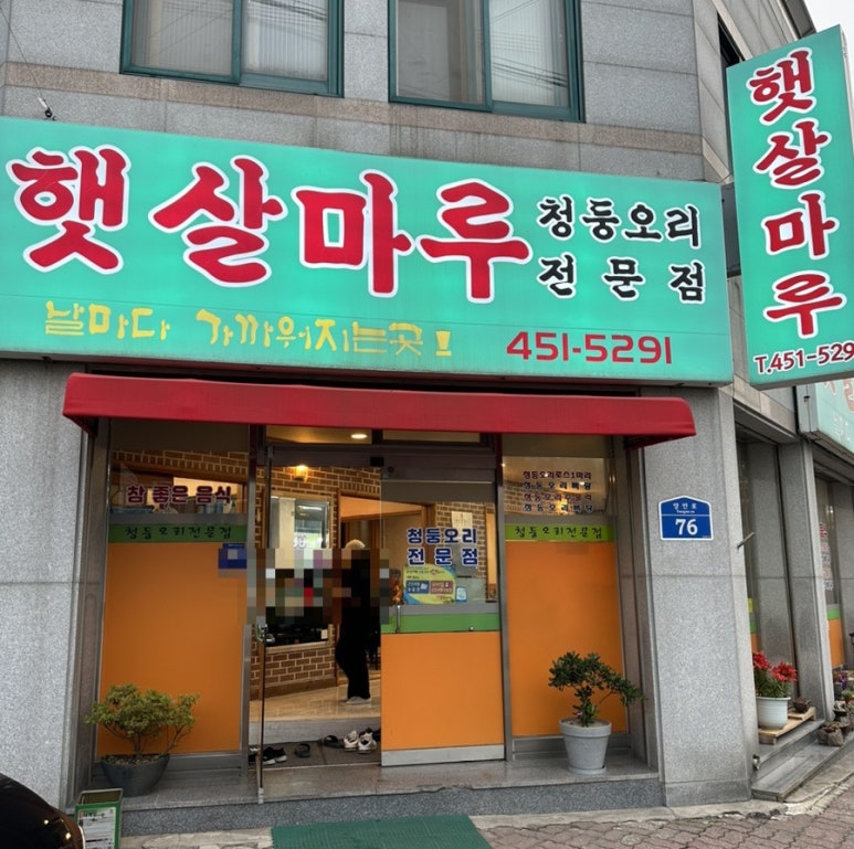 햇살마루청둥오리 이미지