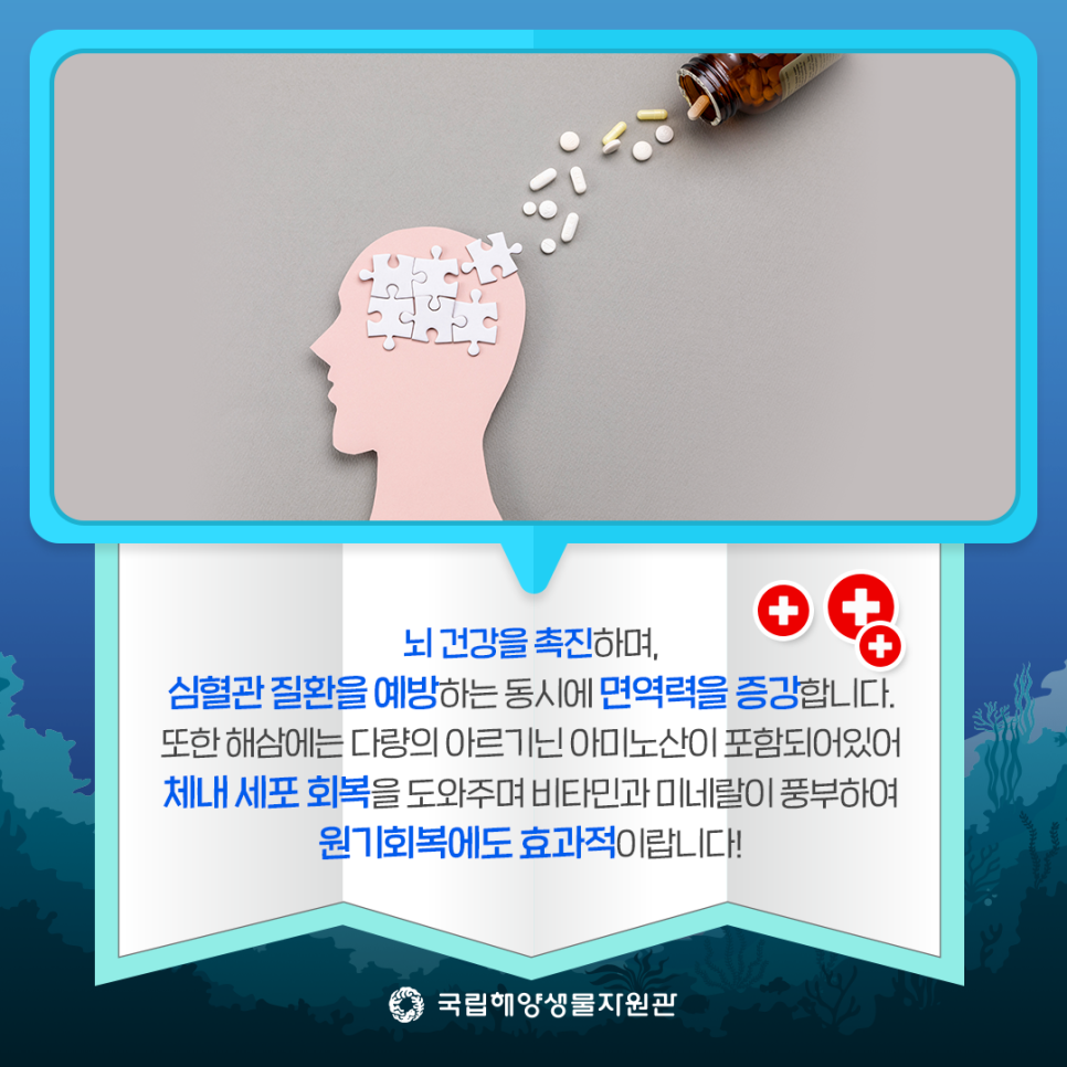 해양슈퍼 이미지