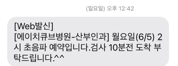 쥐쥐쥐에이치 이미지