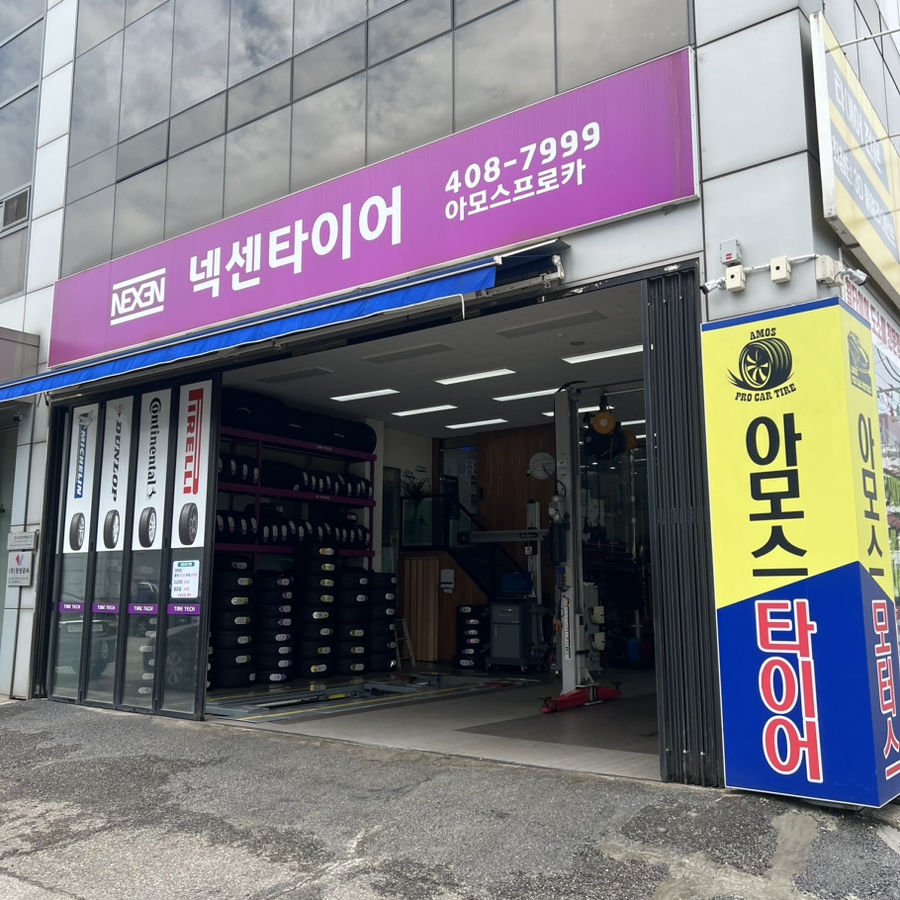 프로카모터스 이미지
